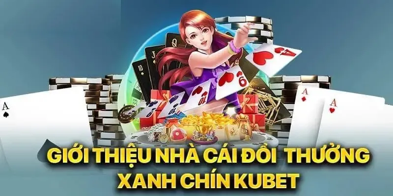 Chính Sách Sử Dụng Dịch Vụ